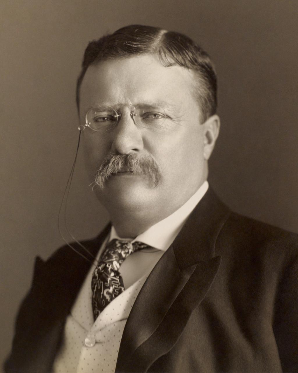 File:Theodore Roosevelt by the Pach Bros (4x5 cropped).jpg - Wikimedia Commons