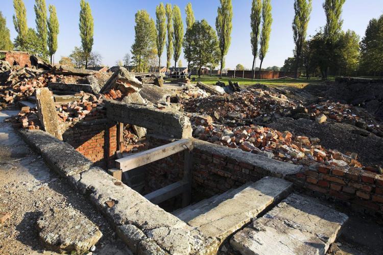 Obcokrajowcy chcieli wynieść z muzeum Auschwitz-Birkenau cegły z krematorium | dzieje.pl - Historia Polski